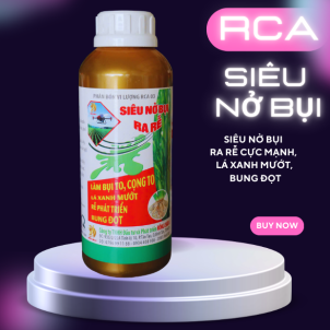 🌾 RCA SIÊU NỞ BỤI 🌾