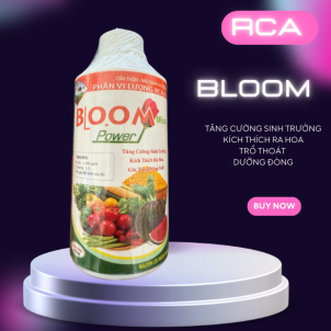 🌿 BLOOM POWER RCA – KÍCH THÍCH RA HOA, TRỔ ĐỒNG, TĂNG NĂNG SUẤT!