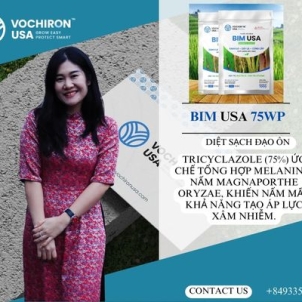 BIM USA 75WP – Đặc trị Đạo ôn trên lúa hiệu quả