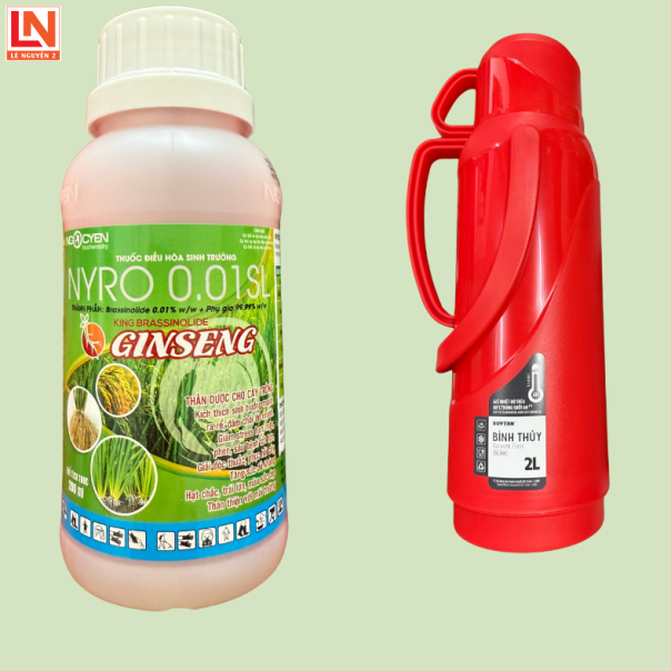 Brassinolide GINSENG Thần được nhân sâm – Tăng Sức Sống, Nâng Cao Năng Suất 1 thùng tặng 1 bình thủy duy tân 2 lít