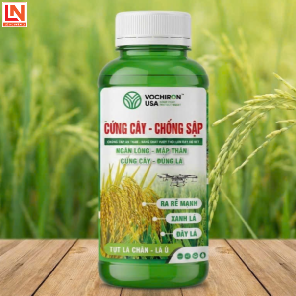 CỨNG CÂY CHỐNG SẬP VCR