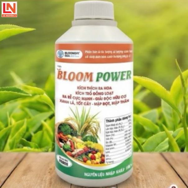 KÍCH TRỔ BLOOM POWER MỸ