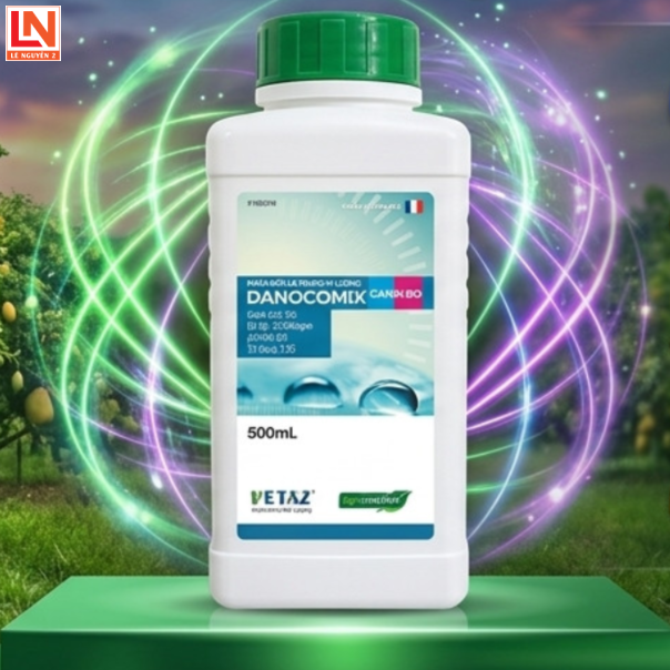 CANXI BO: TIÊU CHUẨN PHÁP – ĐẬU TRÁI CỰC MẠNH, CHI PHÍ CỰC THẤP